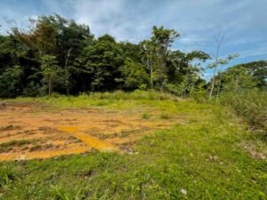 Ocean view lot in Dominical Costa Rica (19)