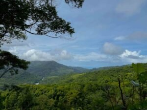 Ocean view lot in Dominical Costa Rica (2)