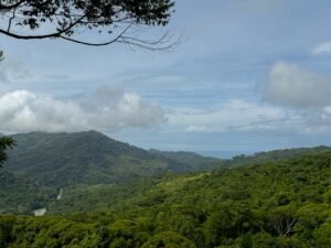 Ocean view lot in Dominical Costa Rica (24)