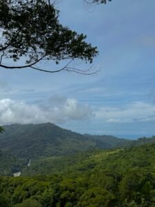 Ocean view lot in Dominical Costa Rica (25)