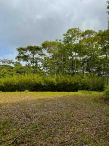 Ocean view lot in Dominical Costa Rica (27)