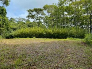 Ocean view lot in Dominical Costa Rica (28)