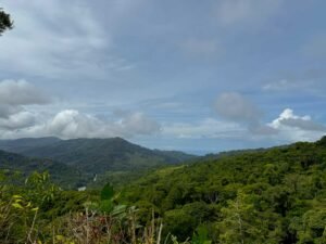 Ocean view lot in Dominical Costa Rica (29)