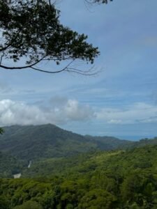 Ocean view lot in Dominical Costa Rica (3)
