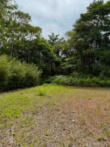 Ocean view lot in Dominical Costa Rica (30)