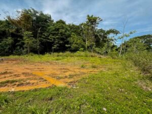 Ocean view lot in Dominical Costa Rica (34)