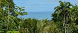 Ocean view lot in Dominical Costa Rica (37)