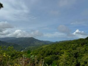 Ocean view lot in Dominical Costa Rica (5)