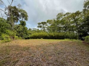 Ocean view lot in Dominical Costa Rica (6)