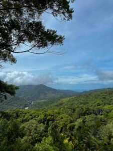 Ocean view lot in Dominical Costa Rica (7)