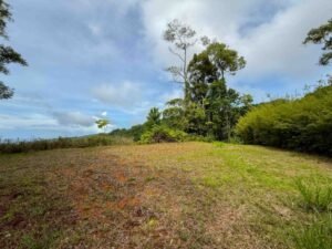 Ocean view lot in Dominical Costa Rica (8)