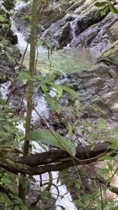 Ocean view property in Dominical (1)