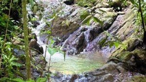 Ocean view property in Dominical (10)