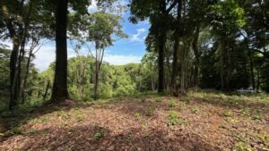 Ocean view property in Dominical (3)