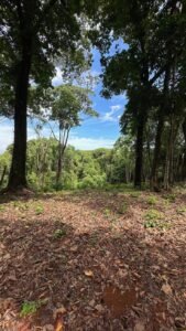 Ocean view property in Dominical (4)