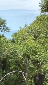 Ocean view property in Dominical (5)