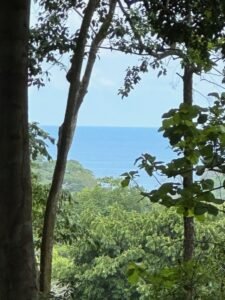 Ocean view property in Dominical (6)