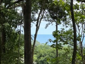 Ocean view property in Dominical (7)