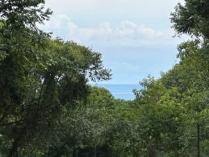 Ocean view property in Dominical (8)