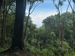 Ocean view property in Dominical (9)