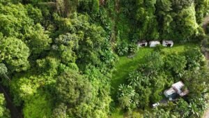 Ocean view property in ojochal – Costa Rica – 188931 (1)