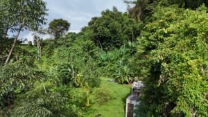 Ocean view property in ojochal – Costa Rica – 188931 (10)