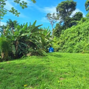 Ocean view property in ojochal – Costa Rica – 188931 (11)