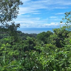 Ocean view property in ojochal – Costa Rica – 188931 (12)