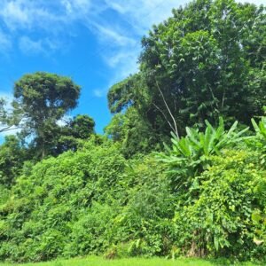 Ocean view property in ojochal – Costa Rica – 188931 (13)