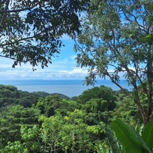 Ocean view property in ojochal – Costa Rica – 188931 (14)