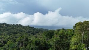 Ocean view property in ojochal – Costa Rica – 188931 (15)