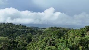 Ocean view property in ojochal – Costa Rica – 188931 (16)