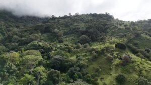 Ocean view property in ojochal – Costa Rica – 188931 (17)