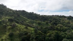 Ocean view property in ojochal – Costa Rica – 188931 (18)