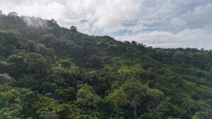 Ocean view property in ojochal – Costa Rica – 188931 (2)