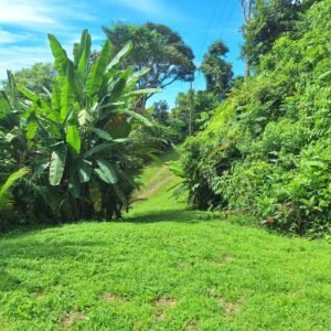 Ocean view property in ojochal – Costa Rica – 188931 (4)