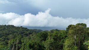 Ocean view property in ojochal – Costa Rica – 188931 (6)