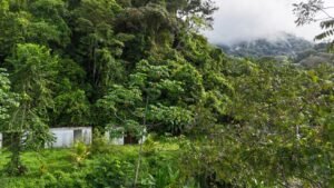 Ocean view property in ojochal – Costa Rica – 188931 (7)