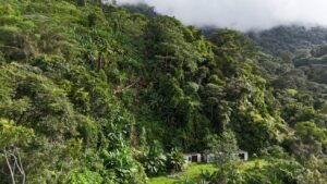 Ocean view property in ojochal – Costa Rica – 188931 (9)