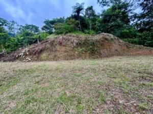 Ojochal lot in phase 9 – jungle views (10)