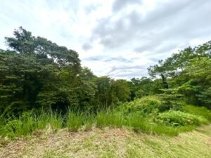 Ojochal lot in phase 9 – jungle views (12)