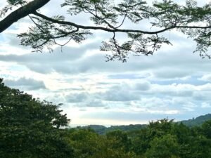 Ojochal lot in phase 9 – jungle views (13)