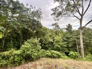 Ojochal lot in phase 9 – jungle views (14)