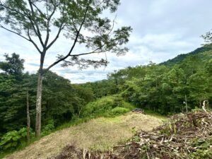 Ojochal lot in phase 9 – jungle views (15)