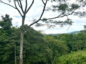 Ojochal lot in phase 9 – jungle views (16)