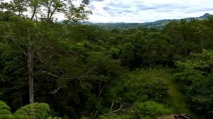 Ojochal lot in phase 9 – jungle views (18)