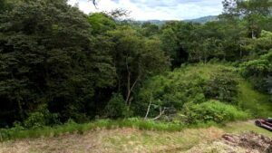 Ojochal lot in phase 9 – jungle views (19)