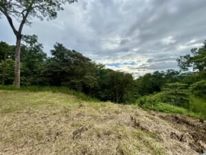 Ojochal lot in phase 9 – jungle views (26)