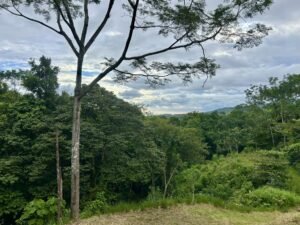 Ojochal lot in phase 9 – jungle views (3)