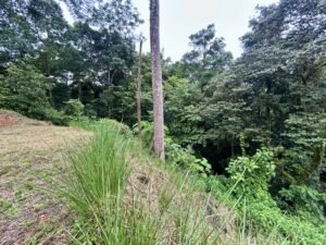 Ojochal lot in phase 9 – jungle views (30)